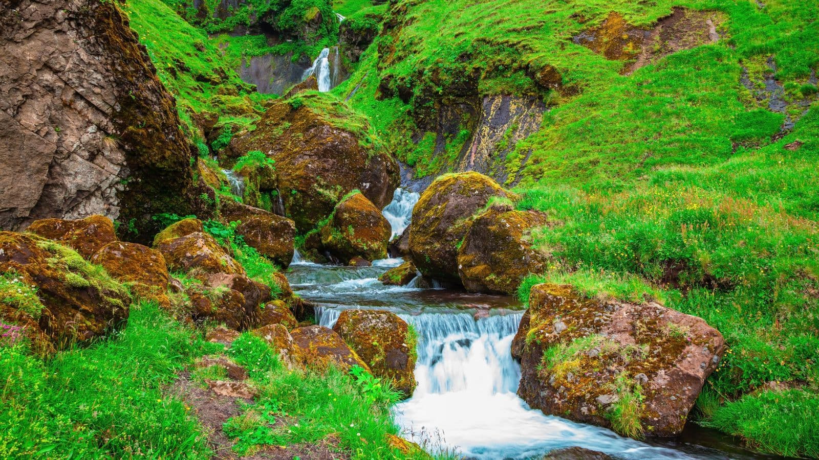 Iceland in July