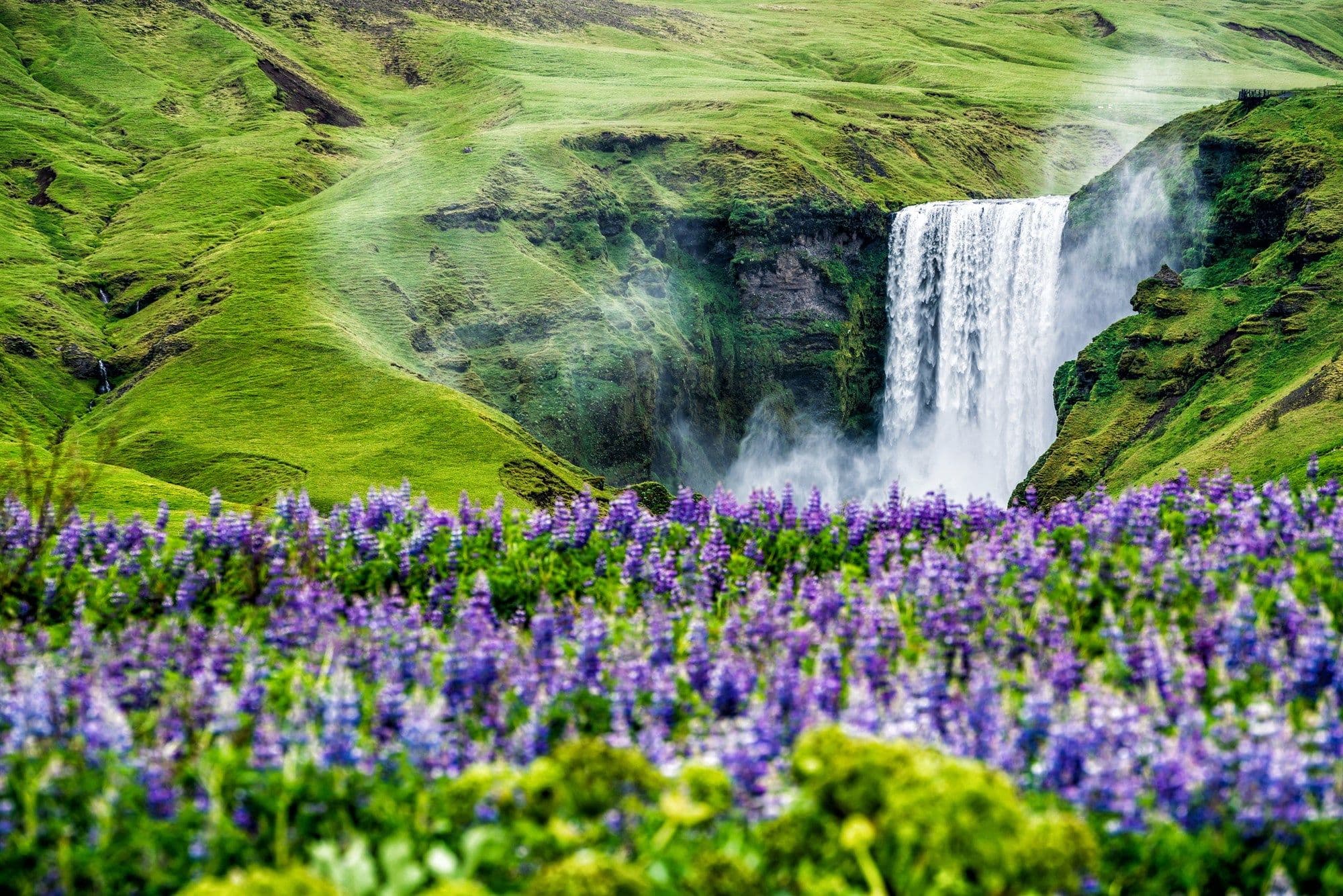 What is Iceland Known For?