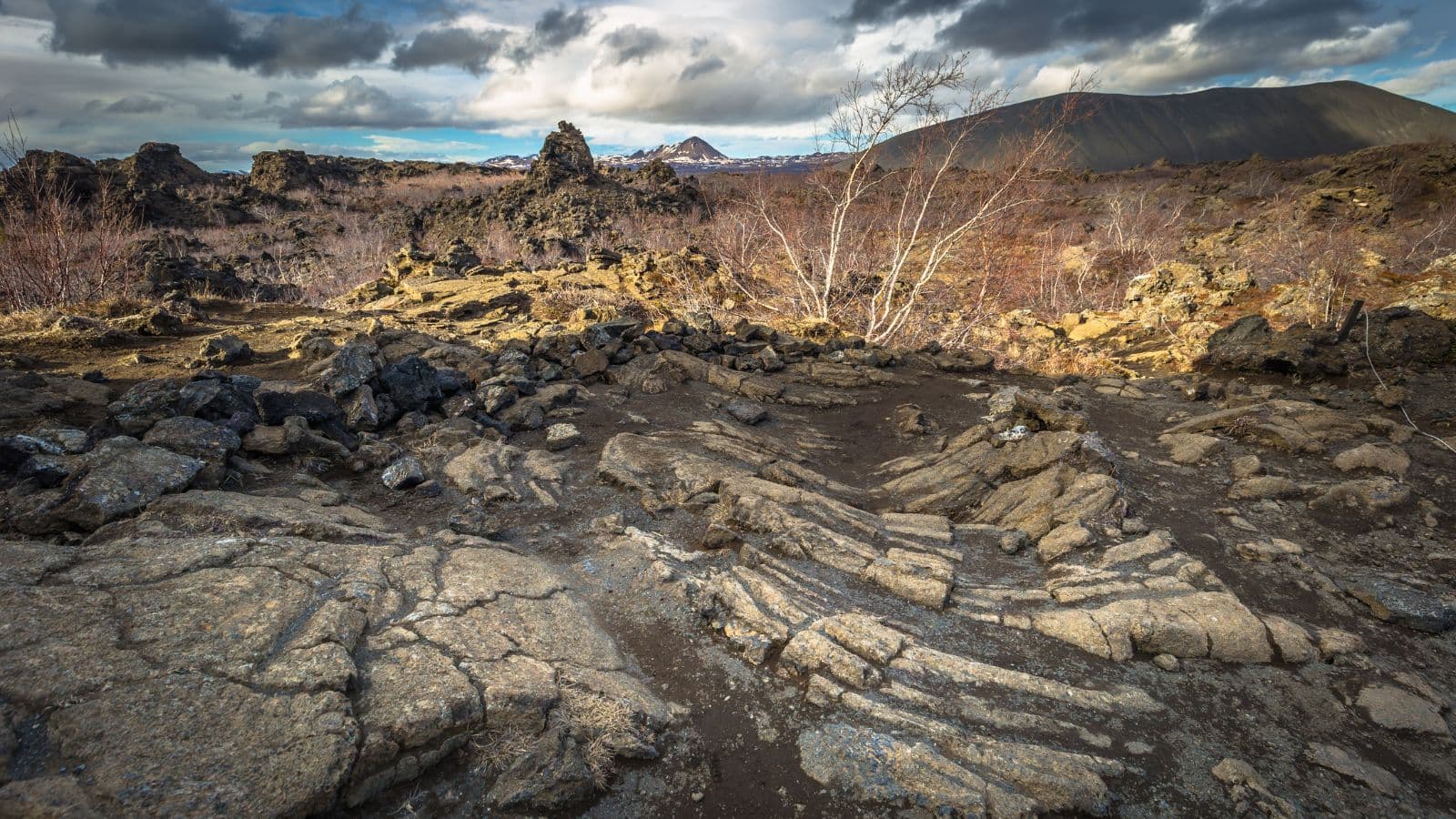 Renting a Car in Reykjavik: Everything You Need to Know